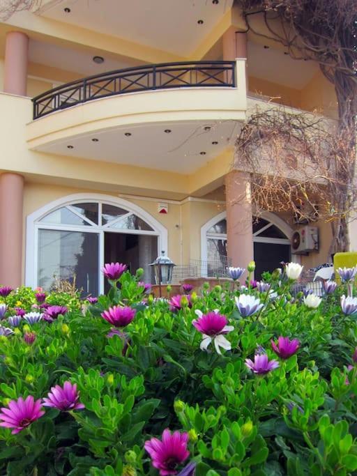 Lenico Beachfront Suites Agia Pelagia Екстериор снимка