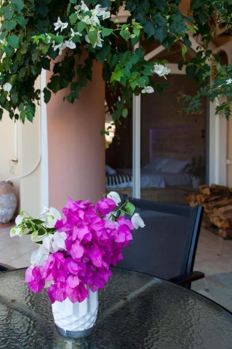 Lenico Beachfront Suites Agia Pelagia Екстериор снимка