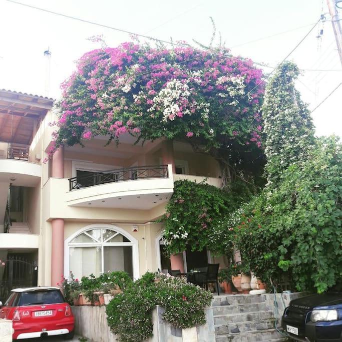 Lenico Beachfront Suites Agia Pelagia Екстериор снимка