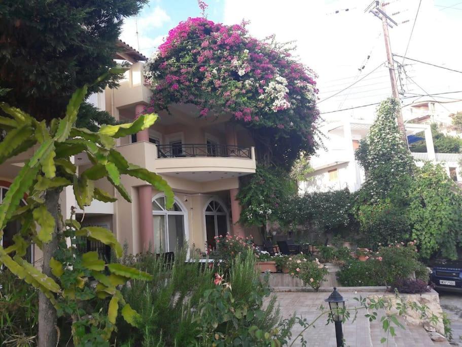 Lenico Beachfront Suites Agia Pelagia Екстериор снимка